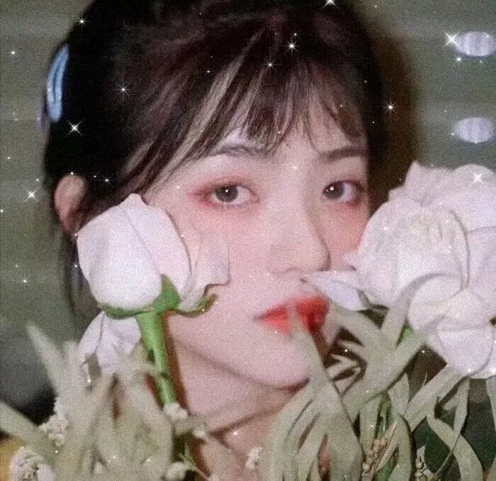 王牌御史