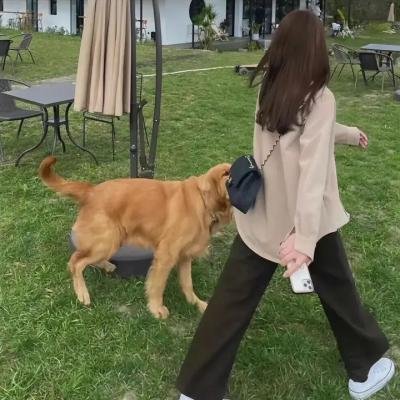 四渡赤水