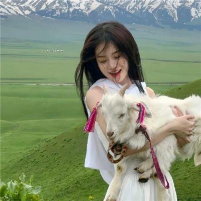 相煎上海滩